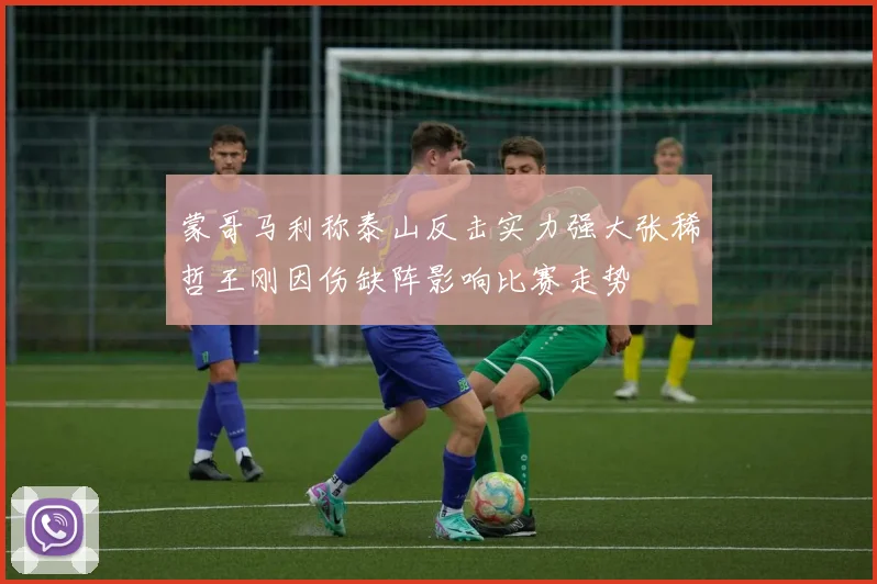 蒙哥马利称泰山反击实力强大张稀哲王刚因伤缺阵影响比赛走势
