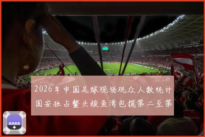 2026年中国足球现场观众人数统计国安独占鳌头梭鱼湾包揽第二至第七位
