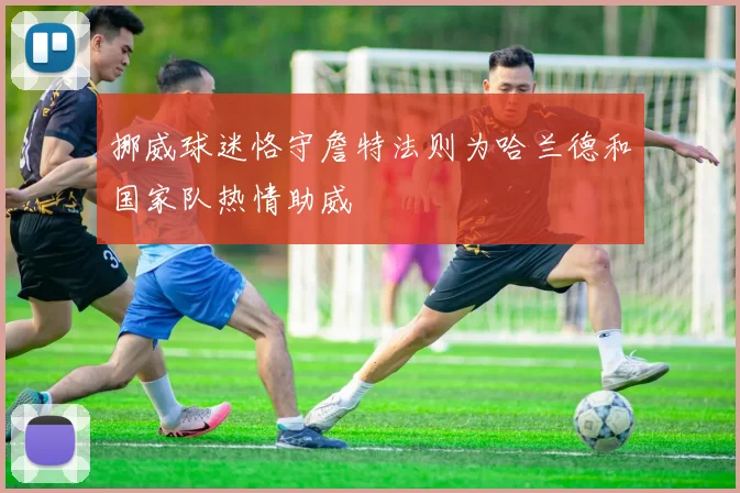 挪威球迷恪守詹特法则为哈兰德和国家队热情助威